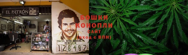 винт Алексин